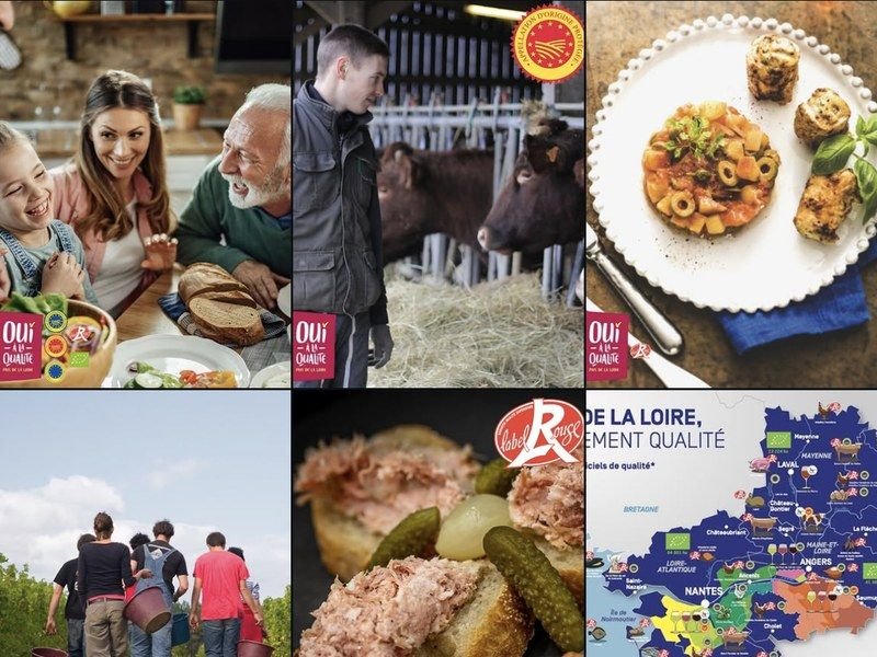 Feed Instagram de Oui à la Qualité en Pays de la Loire